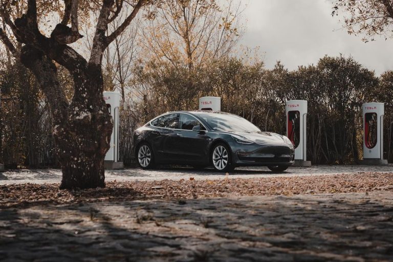 European EV market expected to slow as buyers await affordable models