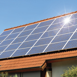 Top 5 cheap solar panels in 2024
