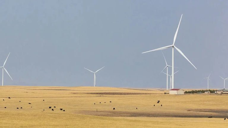 Ørsted is going to deploy AI across 5.5 GW of US wind, solar, and storage